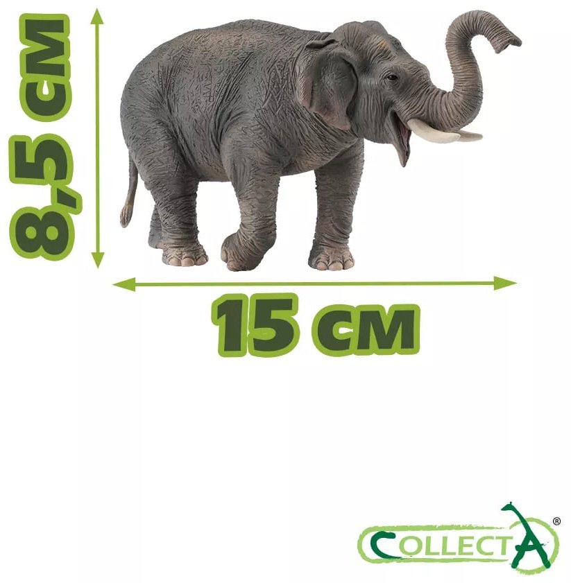 Фигурка Collecta Азиатский слон 8.5 см 1 шт