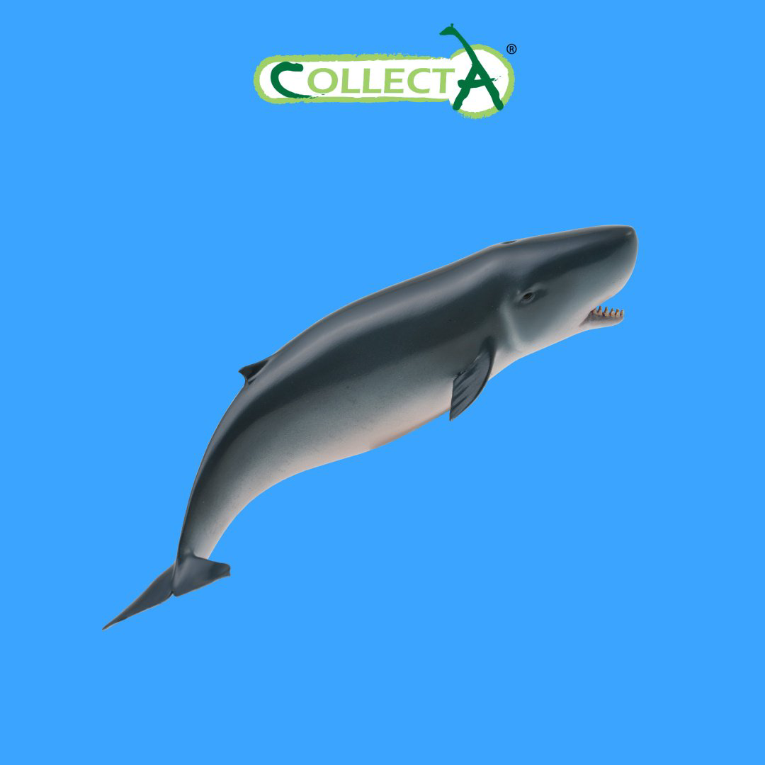 Фигурка Collecta Карликовый кашалот 15.2 см 1 шт