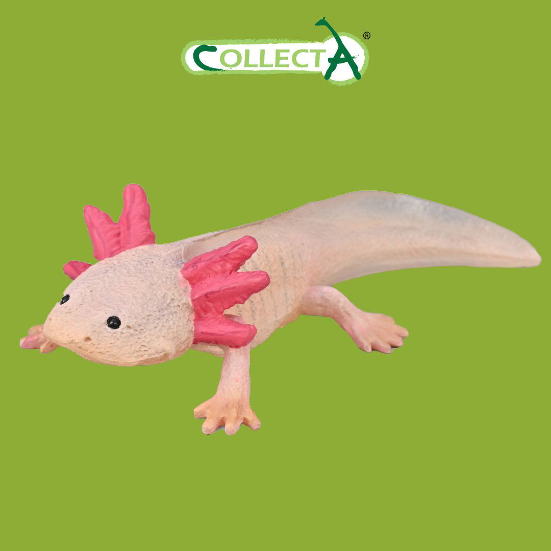 Фигурка Collecta Аксолотль 9 см 1 шт