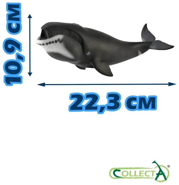 Фигурка Collecta Гренландский Кит 10.9 см 1 шт