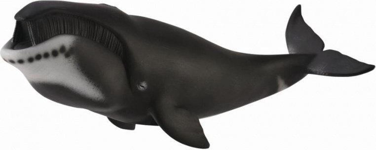 Фигурка Collecta Гренландский Кит 10.9 см 1 шт купить,NaN