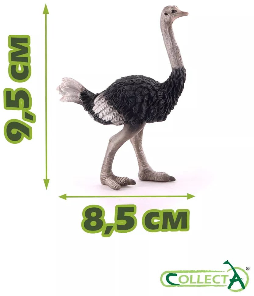 Фигурка Collecta Страус 9.5 см 1 шт