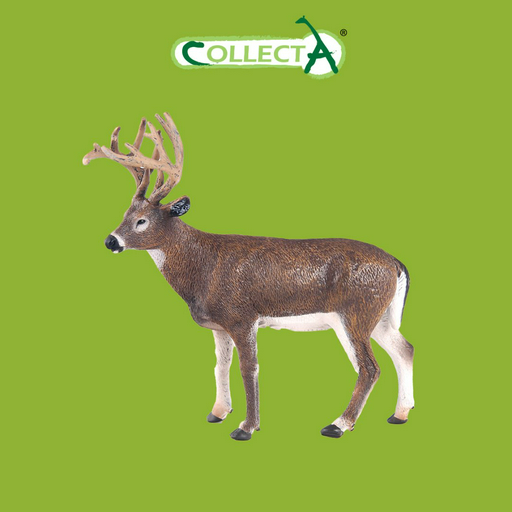 Фигурка Collecta Олень белохвостый 9.2 см 1 шт