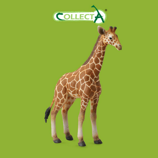 Фигурка Collecta Жеребёнок Сетчатого Жирафа 13.9 см 1 шт