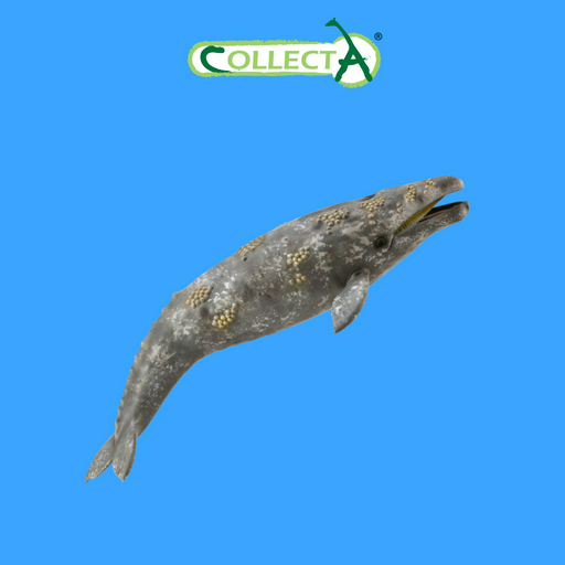 Фигурка Collecta Серый кит 22.8 см 1 шт