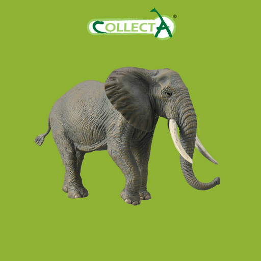 Фигурка Collecta Слон африканский 11 см 1 шт