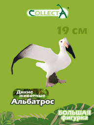 Фигурка Collecta Странствующий альбатрос 7.1 см 1 шт