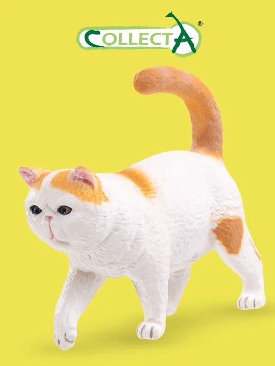Collecta статуэтка Экзотическая короткошерстная кошка 5.7 см, пластик купить,NaN