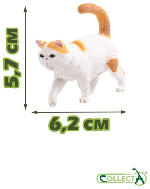 Collecta статуэтка Экзотическая короткошерстная кошка 5.7 см, пластик купить,NaN