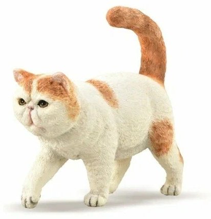Collecta статуэтка Экзотическая короткошерстная кошка 5.7 см, пластик купить,0