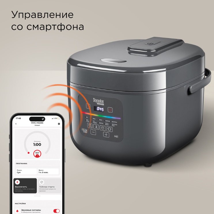Мультиварка REDMOND MC100S серый - ForteMarket Мультиварка REDMOND MC100S серый купить,0