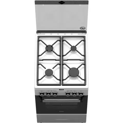 Комбинированная плита ДАРИНА PL 2303 1W Gray - ForteMarket Комбинированная плита ДАРИНА PL 2303 1W Gray купить,0