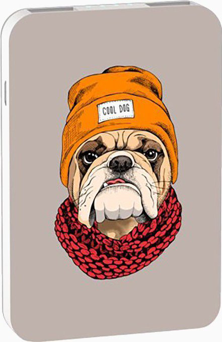 Power Bank Ritmix RPB-10007 Bulldog 10000mAh серый купить,NaN