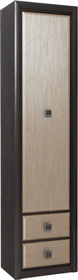 Распашной шкаф BRW Коен REG1D2S, 58.5x200.5х40 см, коричневый купить,NaN