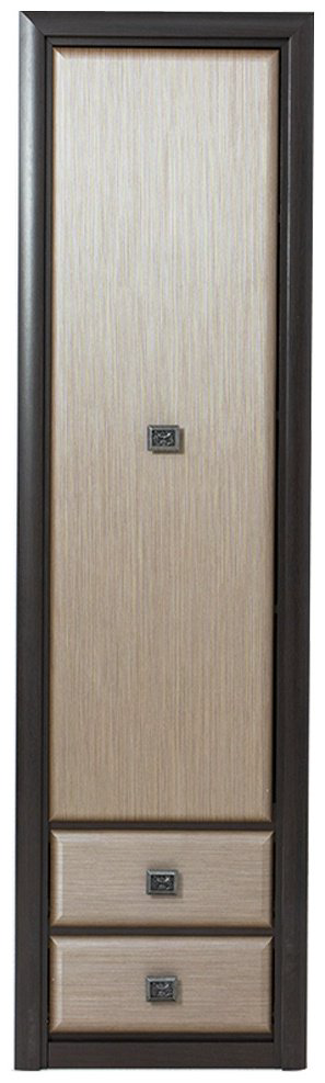 Распашной шкаф BRW Коен REG1D2S, 58.5x200.5х40 см, коричневый купить,NaN
