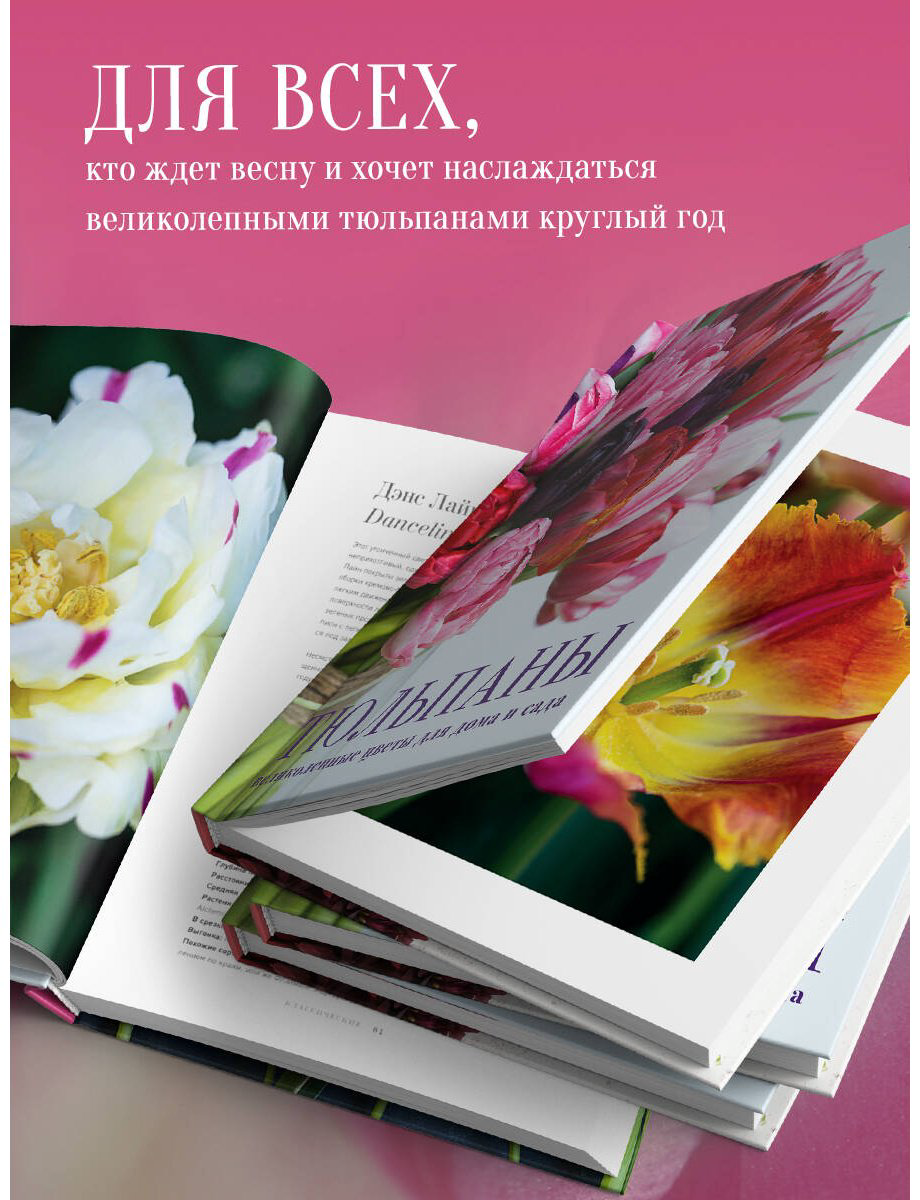 Книга Исто Дж.: Тюльпаны. Великолепные цветы для дома и сада купить,NaN