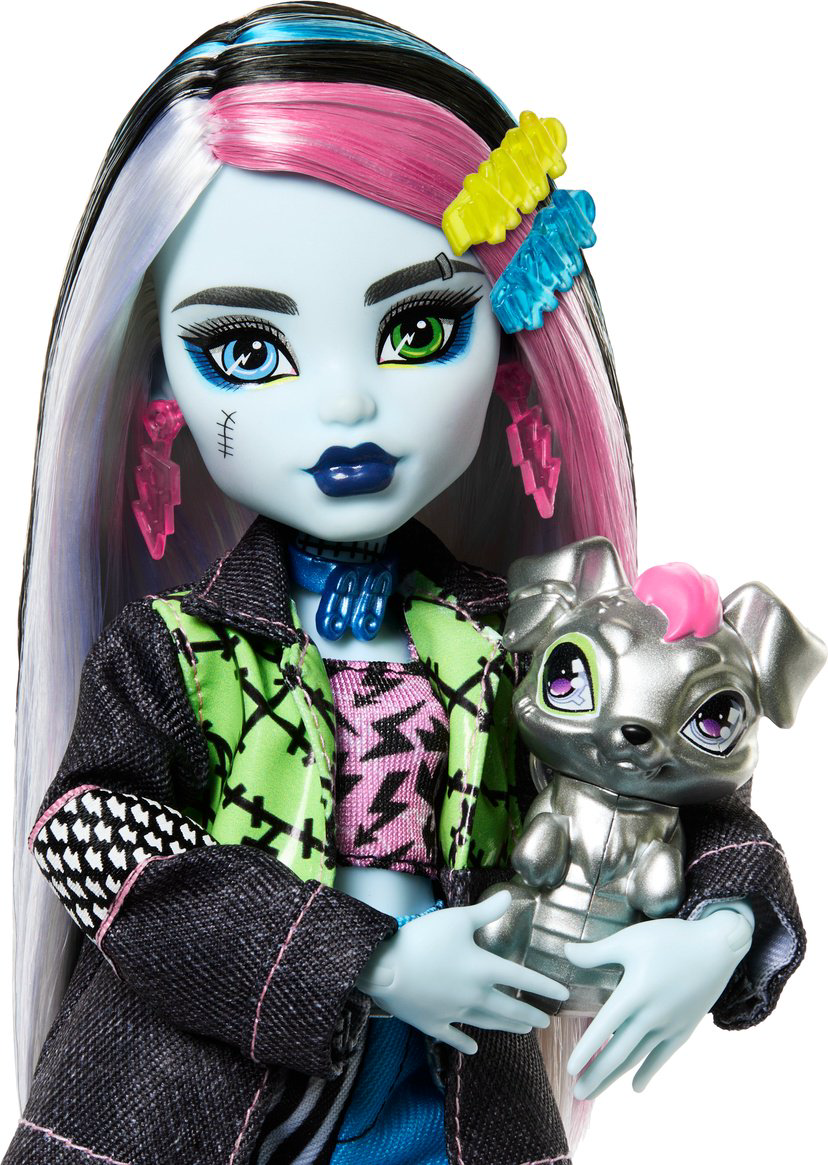 Кукла-модель Monster High Фрэнки Штейн с питомцем Уотзи 28 см купить,NaN