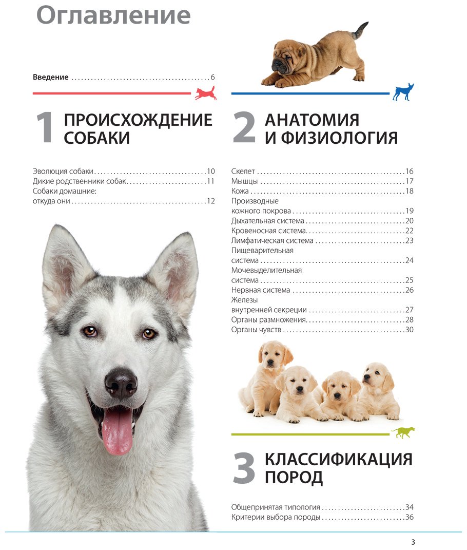 Книга Шкляев А. Н.: Собаки. Подарочная иллюстрированная энциклопедия купить,NaN