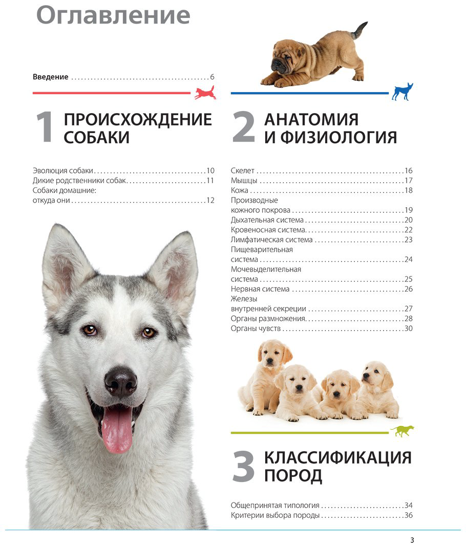 Книга Шкляев А. Н.: Собаки. Подарочная иллюстрированная энциклопедия купить,NaN
