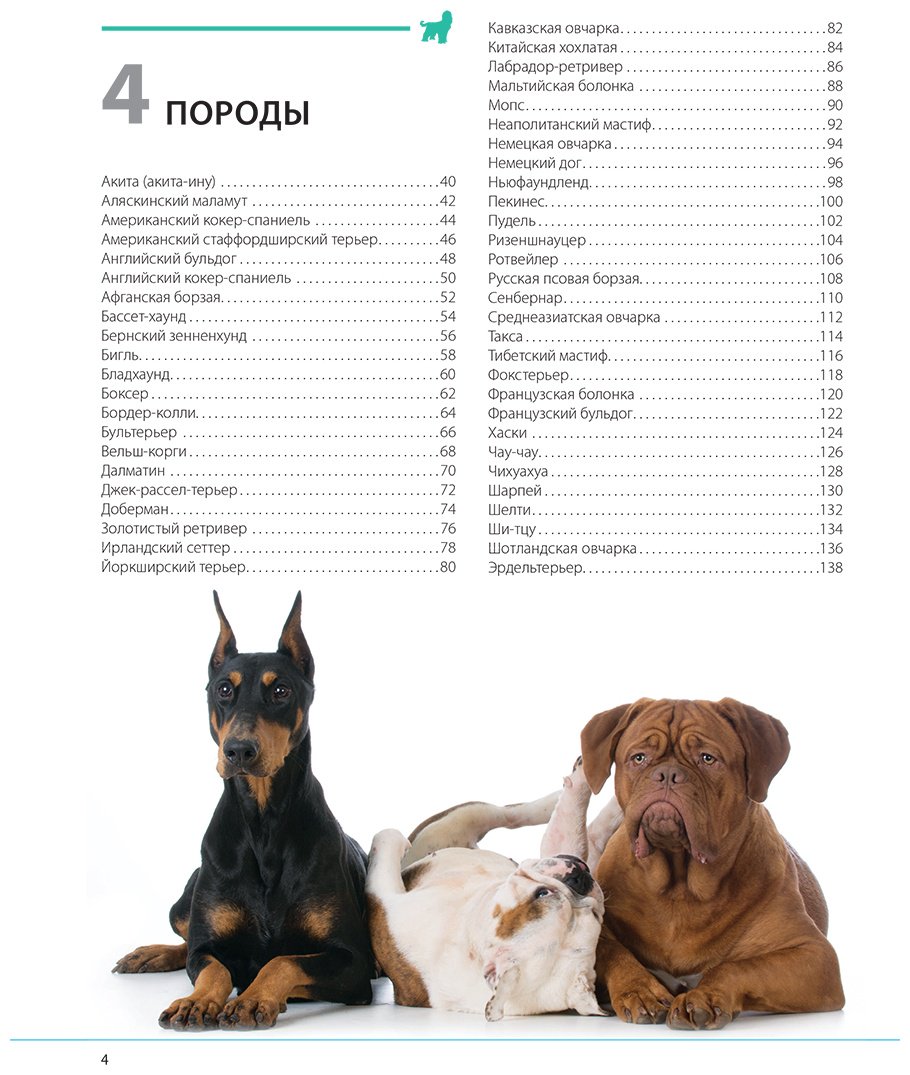 Книга Шкляев А. Н.: Собаки. Подарочная иллюстрированная энциклопедия купить,NaN
