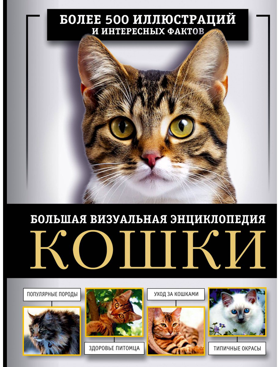 Книга Смирнов Д. С., Спектор А. А.: Кошки. Большая визуальная энциклопедия купить,NaN
