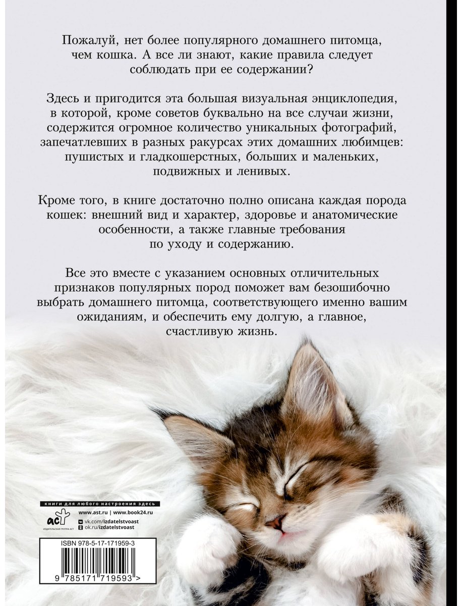 Книга Смирнов Д. С., Спектор А. А.: Кошки. Большая визуальная энциклопедия купить,NaN