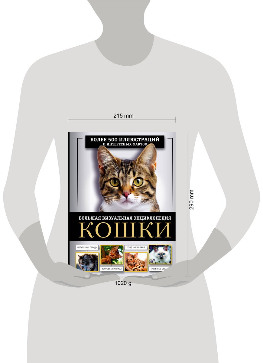 Книга Смирнов Д. С., Спектор А. А.: Кошки. Большая визуальная энциклопедия купить,NaN