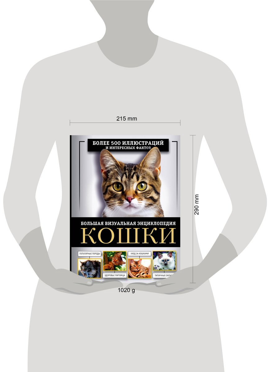 Книга Смирнов Д. С., Спектор А. А.: Кошки. Большая визуальная энциклопедия купить,NaN