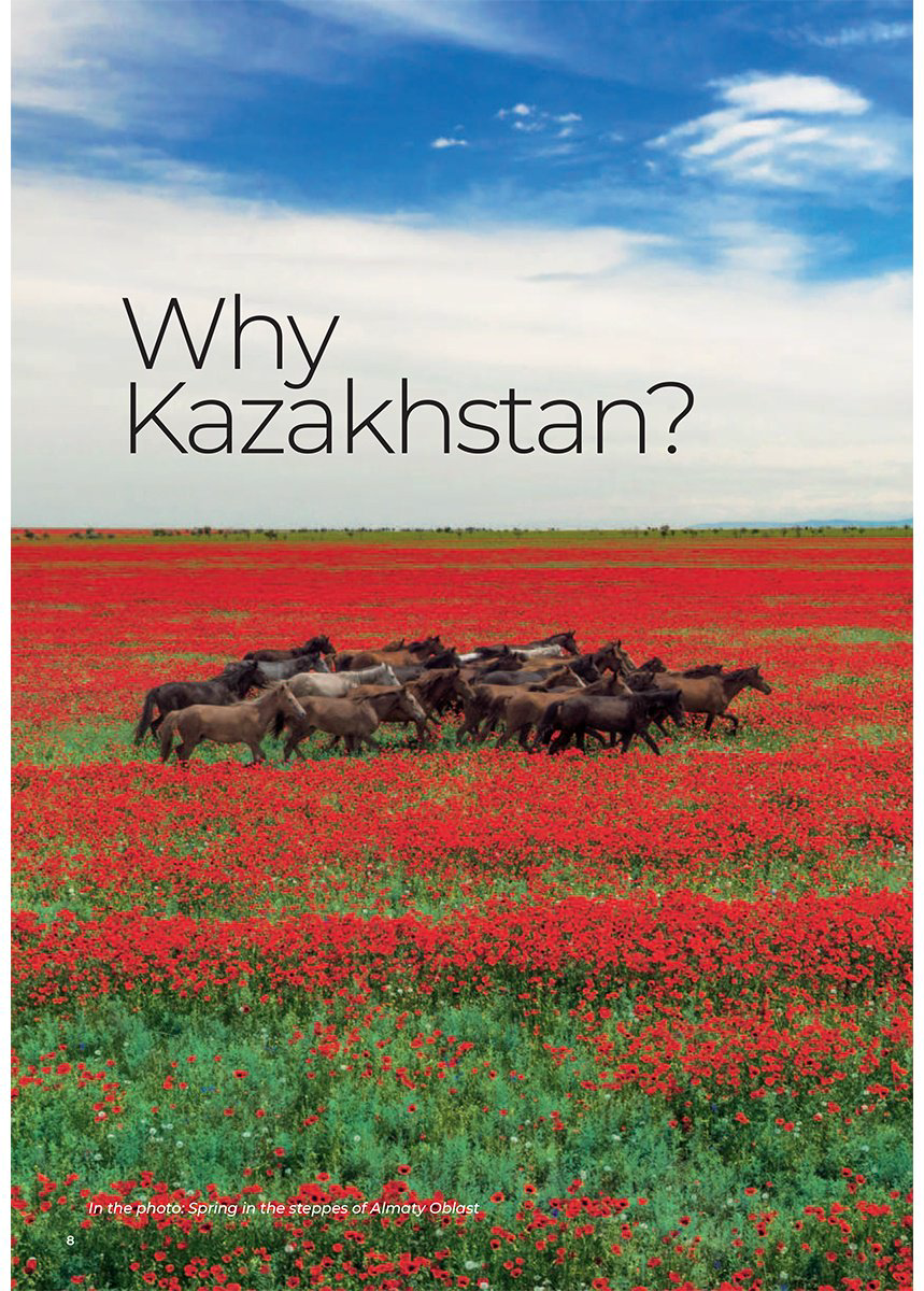 Книга Kazakhstan: travel guide купить,NaN