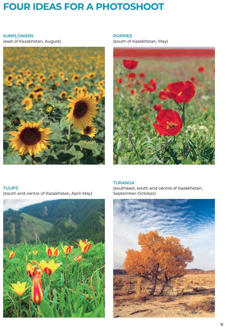 Книга Kazakhstan: travel guide купить,NaN