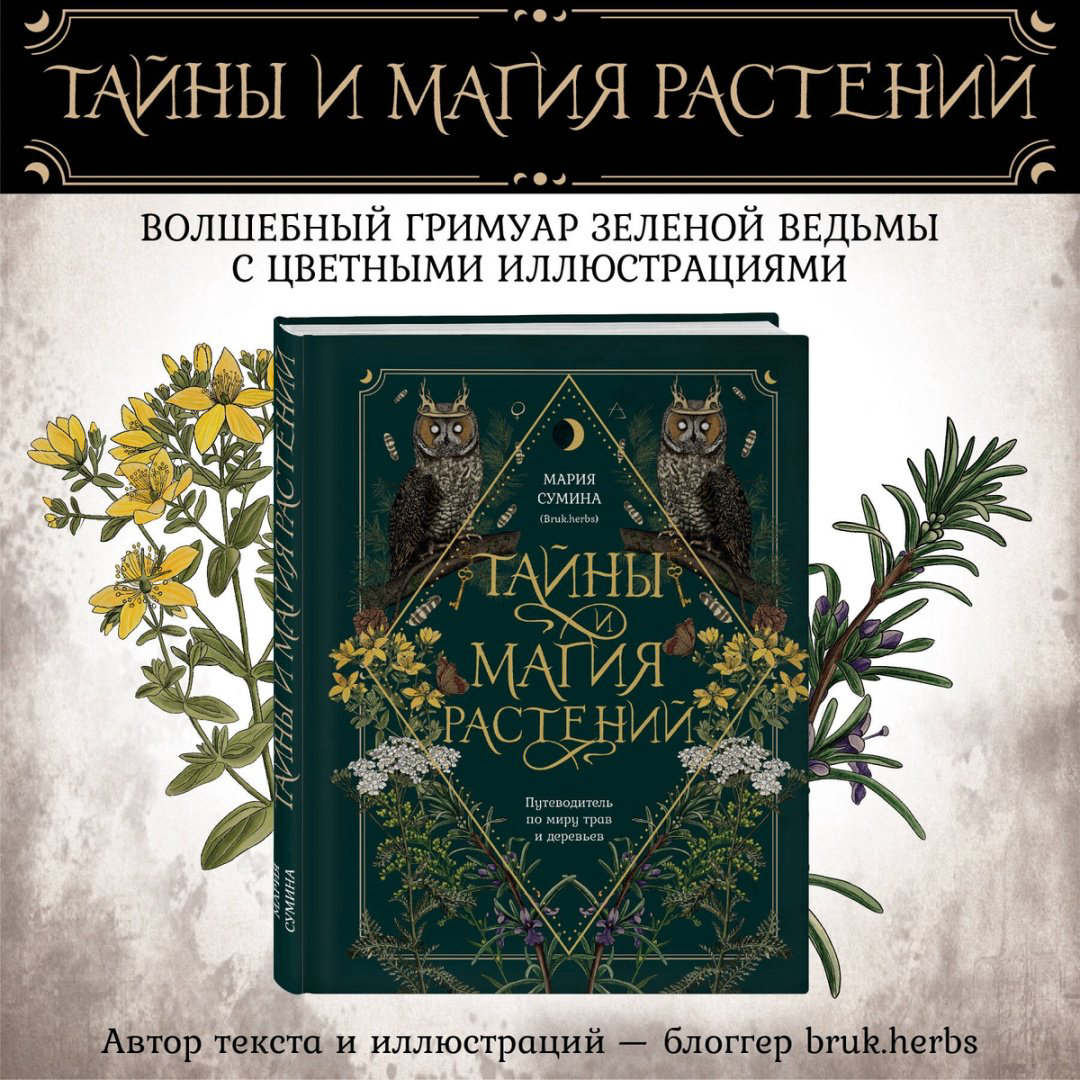Книга Сумина М.: Тайны и магия растений. Путеводитель по миру трав и деревьев купить,NaN