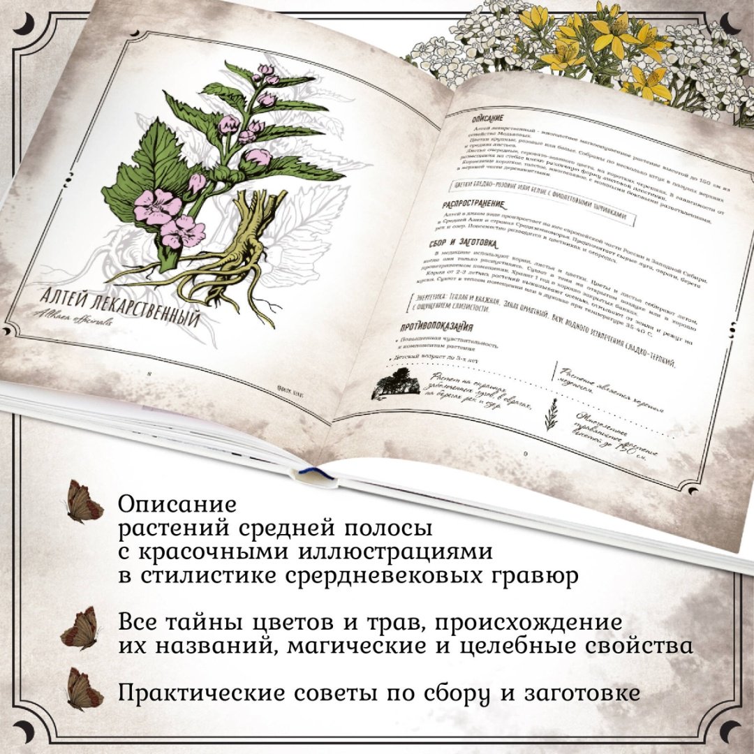 Книга Сумина М.: Тайны и магия растений. Путеводитель по миру трав и деревьев купить,NaN