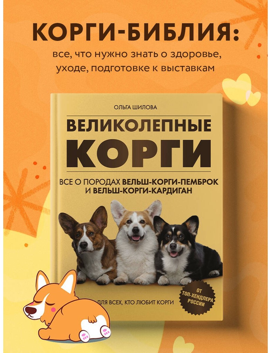 Книга Шилова О.: Великолепные корги. Все о породах вельш-корги-пемброк и вельш-корги-кардиган купить,NaN