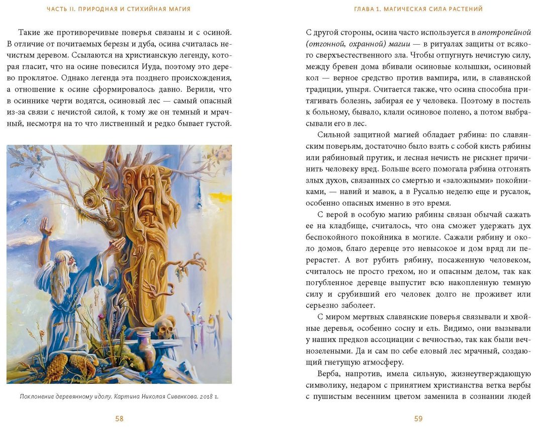Книга Голубева М.: Славянская магия. От волхвов и колдунов до берегинь и оборотней купить,NaN