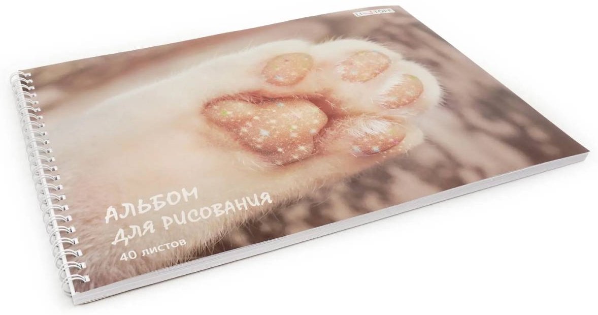 Альбом Listoff АСБ402531 A4 40 листов купить,0