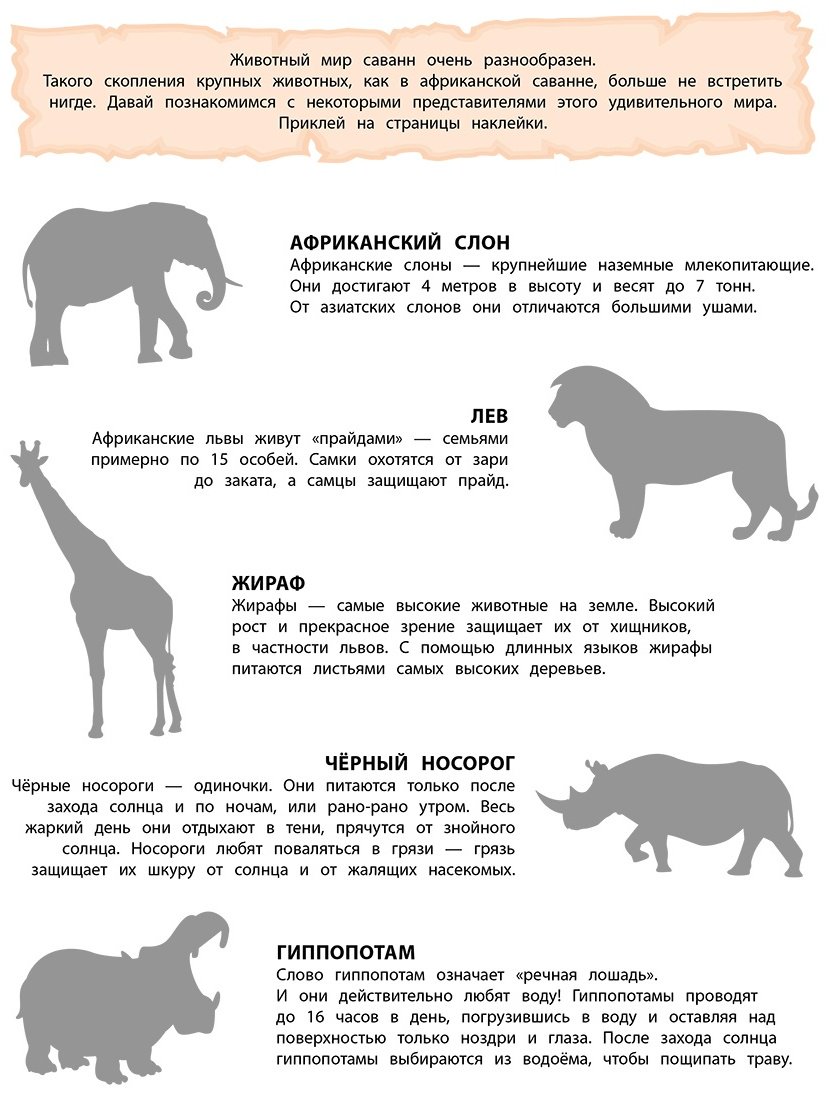 Наклейки Альбом Эксмо В саванне 978-5-04-191537-7 150 купить,0