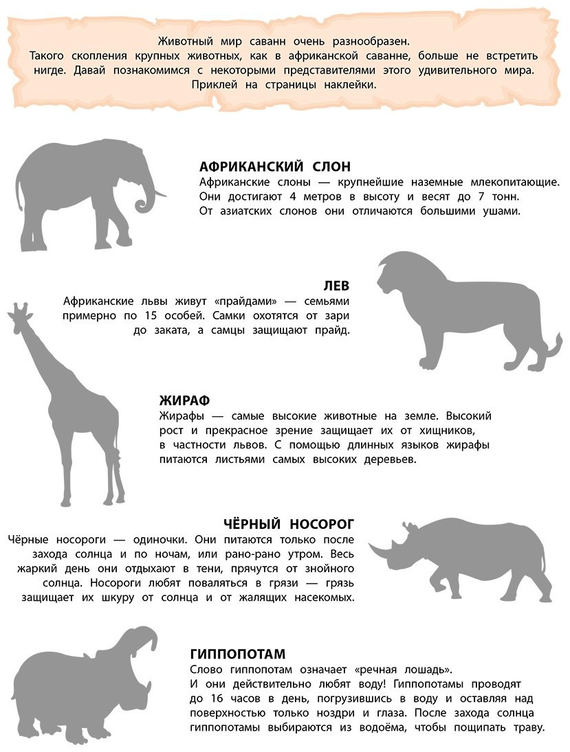 Наклейки Альбом Эксмо В саванне 978-5-04-191537-7 150 купить,NaN