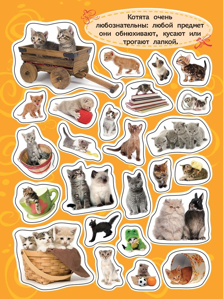 Наклейки Росмэн Котята купить,NaN