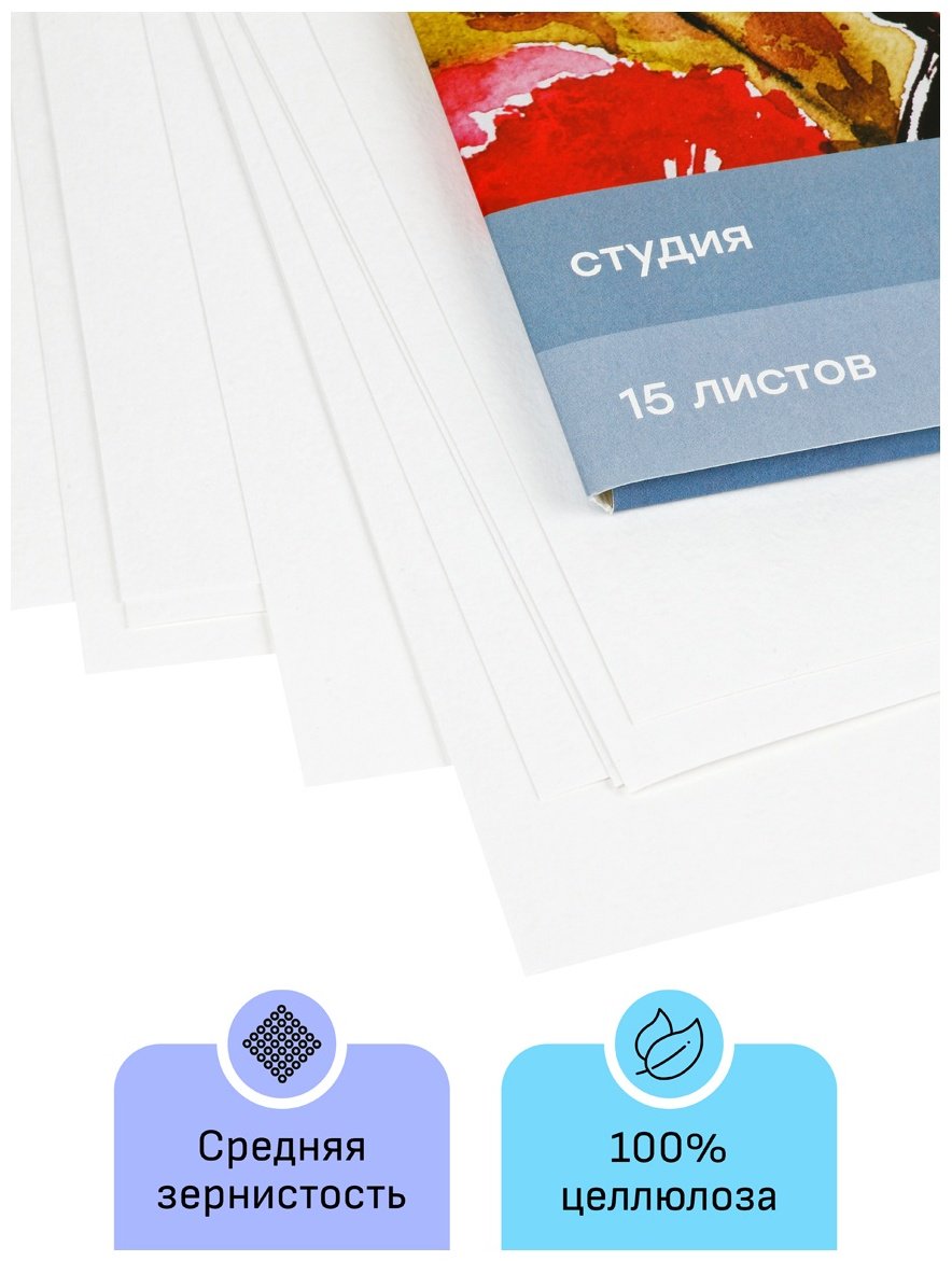 Папка для акварели, 15л., А3 Гамма "Студия", 200г/м2, среднее зерно купить,0