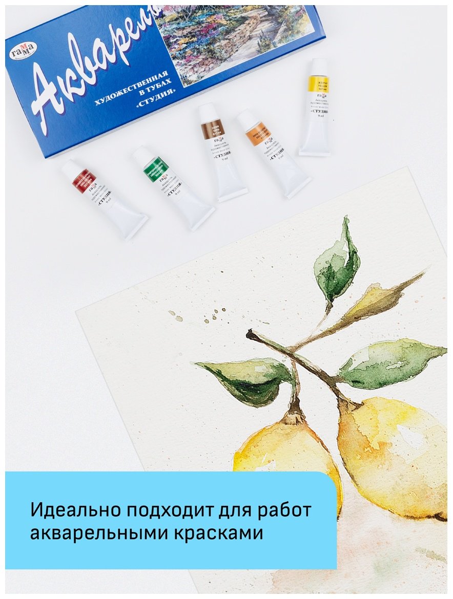 Папка для акварели, 20л., А4 Гамма "Студия", 200г/м2, среднее зерно - ForteMarket Папка для акварели, 20л., А4 Гамма "Студия", 200г/м2, среднее зерно купить,0