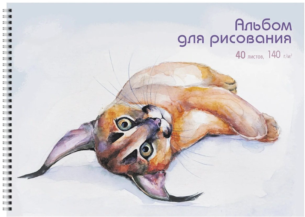 Альбом Канц-Эксмо АС402483 A4 40 листов купить,NaN