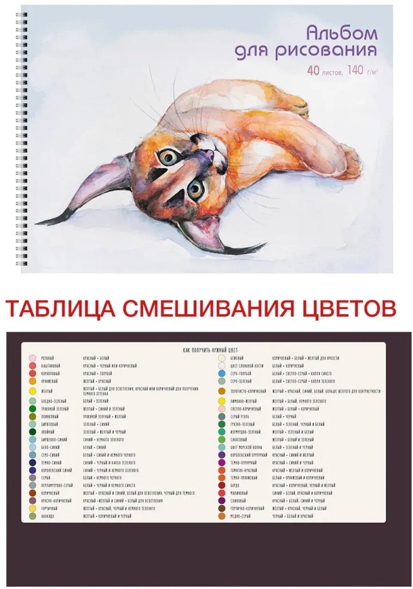 Альбом Канц-Эксмо АС402483 A4 40 листов купить,0