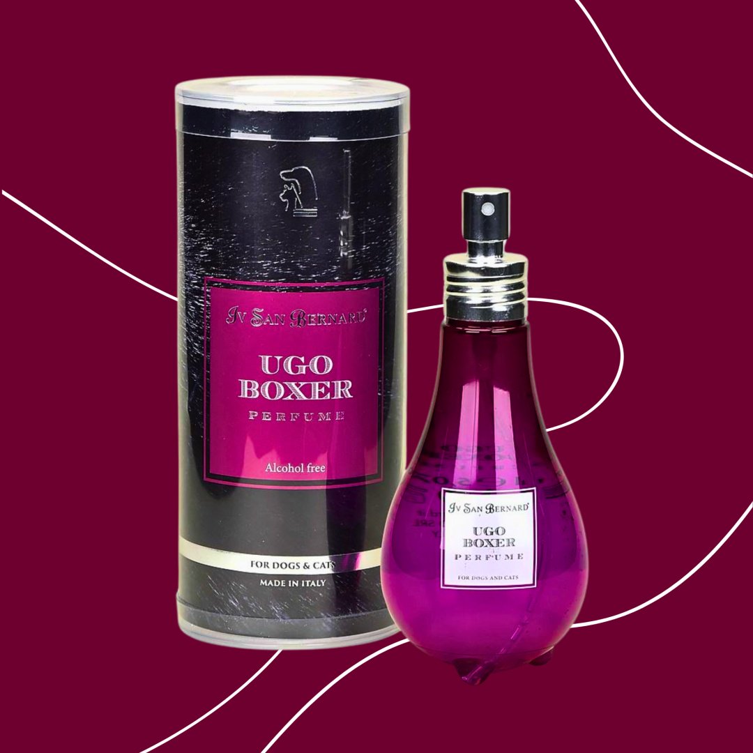 Аромат Духи Parfum Iv San Bernard Ugo Boxer древесный 150 мл