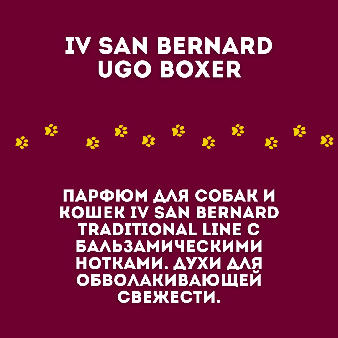Аромат Духи Parfum Iv San Bernard Ugo Boxer древесный 150 мл - ForteMarket Аромат Духи Parfum Iv San Bernard Ugo Boxer древесный 150 мл купить,0