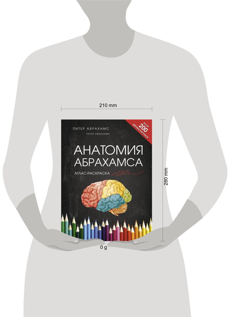 Книга Абрахамс П.: Анатомия Абрахамса купить,NaN