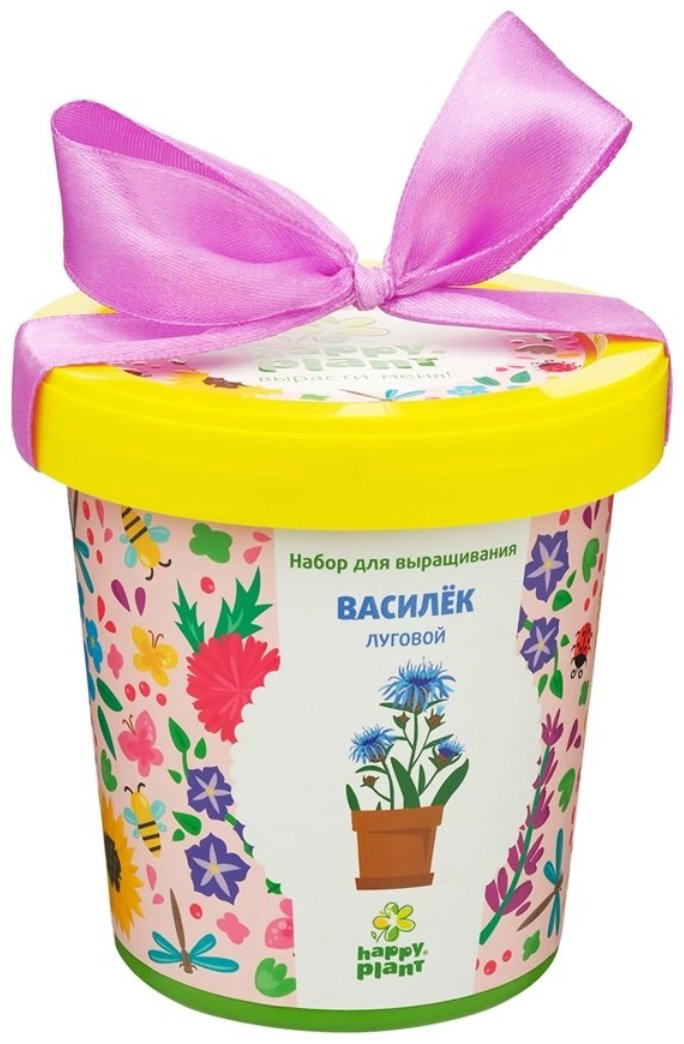 Выращивание растений Happy Plant Василек луговой