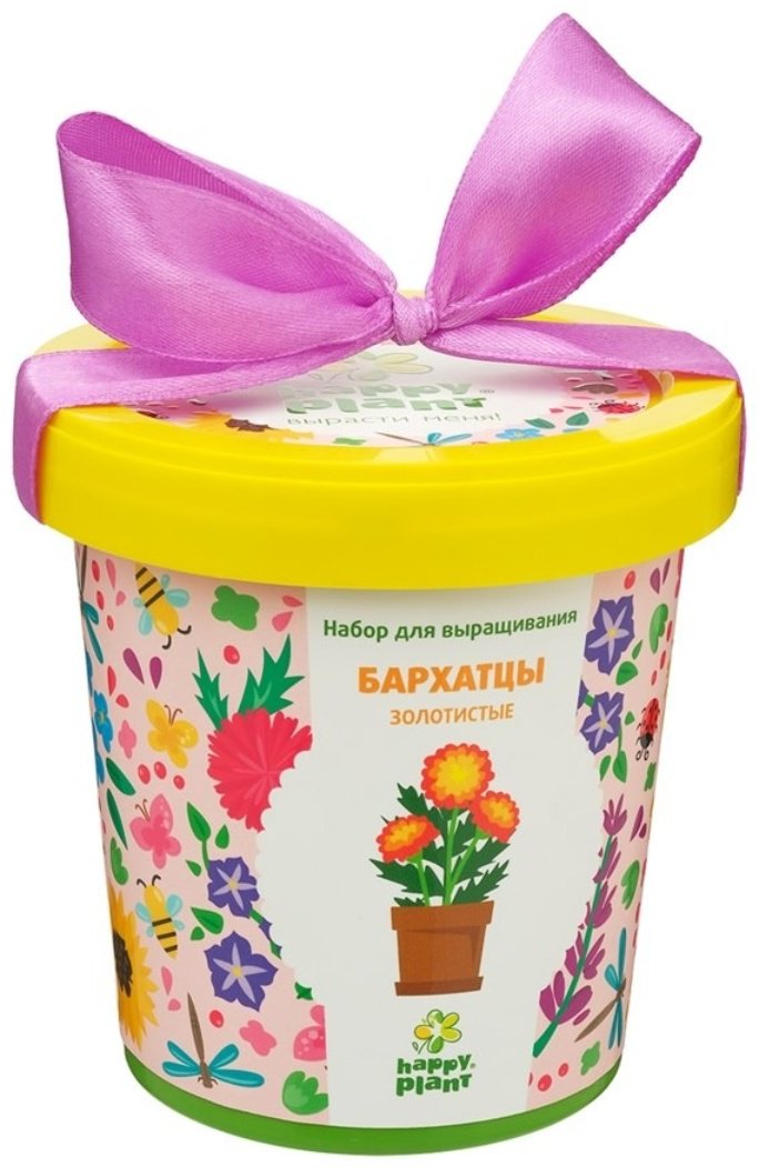 Выращивание растений Happy Plant Бархатцы золотистые