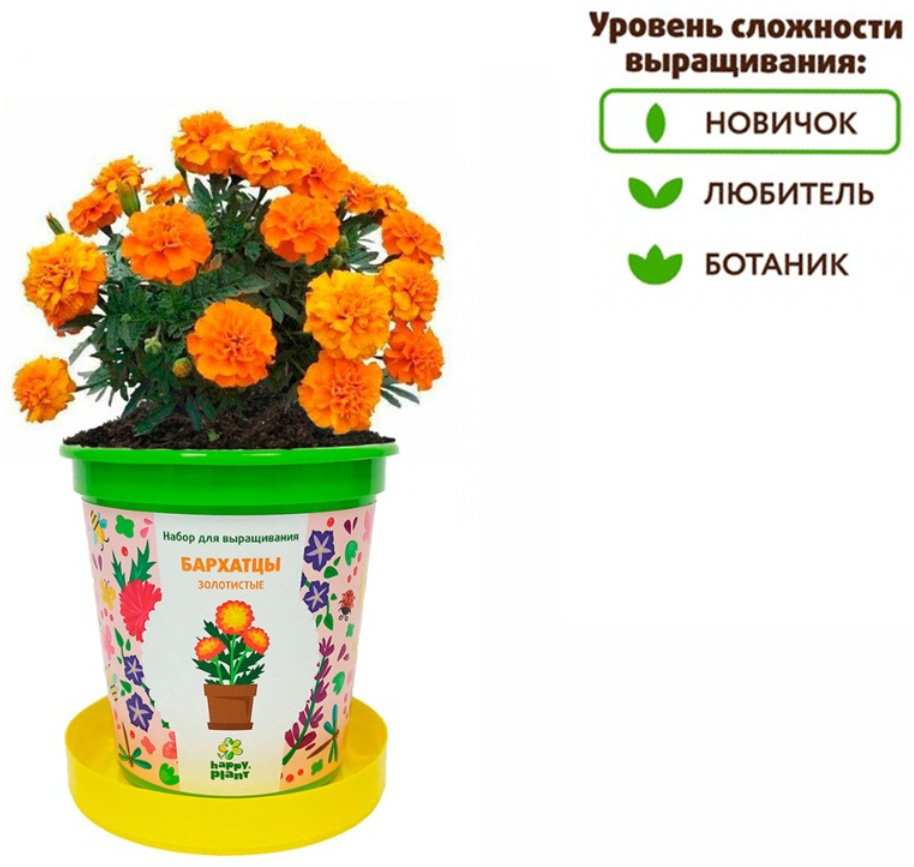 Выращивание растений Happy Plant Бархатцы золотистые купить,NaN