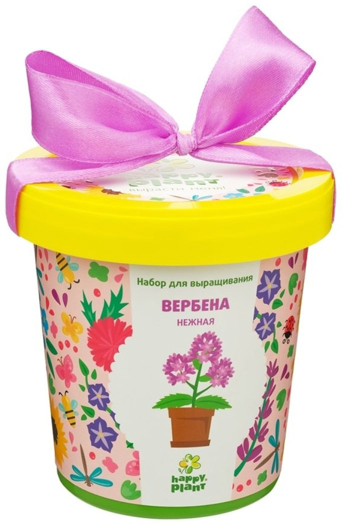 Выращивание растений Happy Plant Вербена