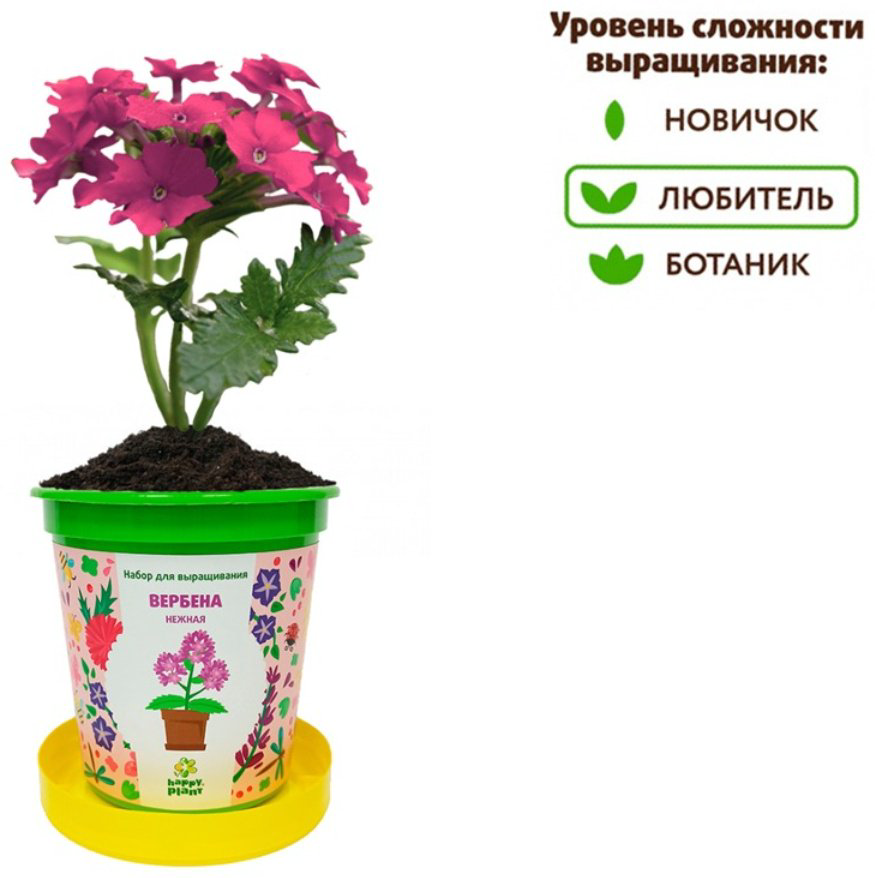 Выращивание растений Happy Plant Вербена купить,NaN